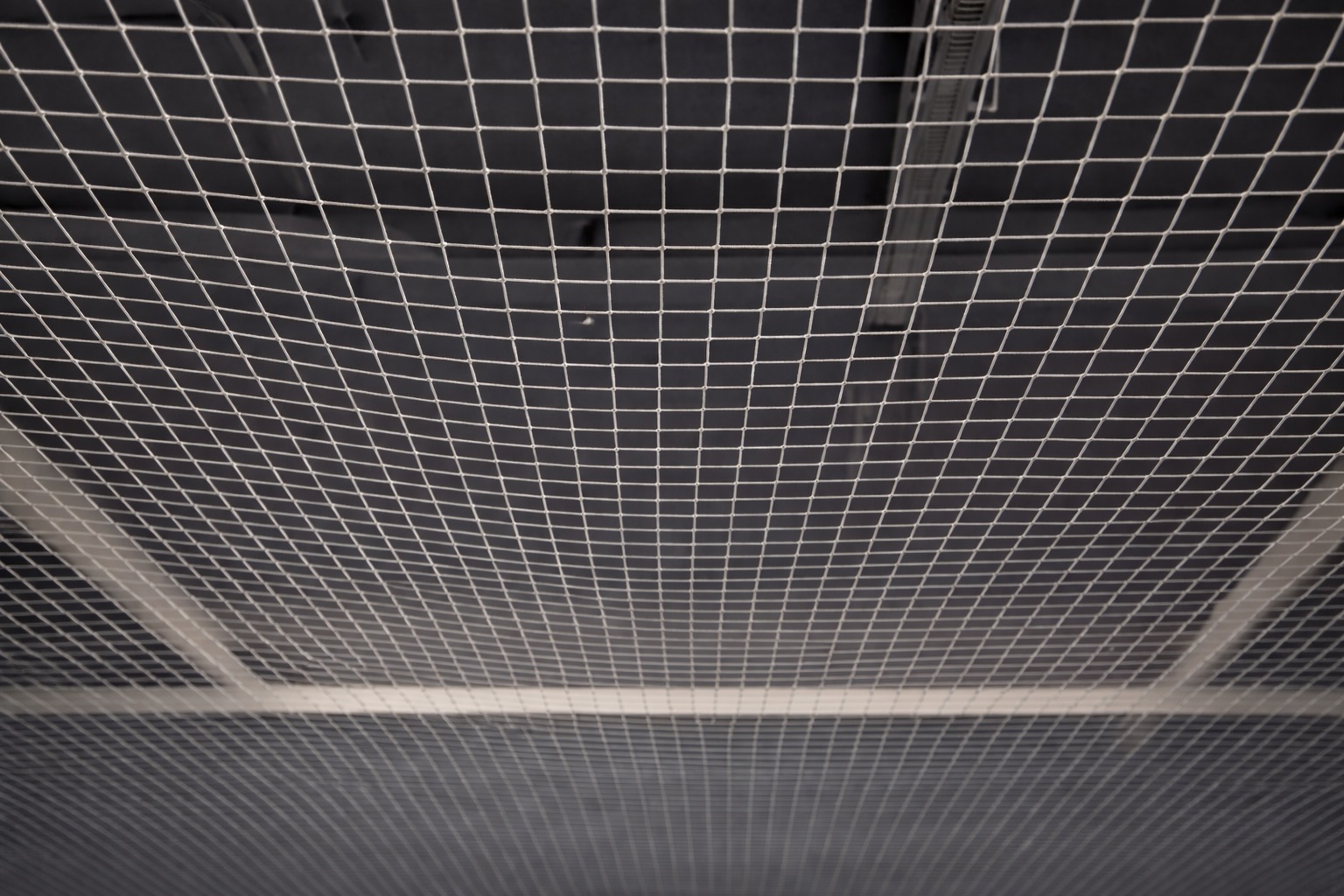 Tirer au filet pour marquer gros : une regle audacieuse a l’essai en Jorkyball